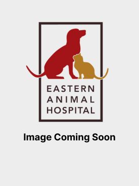 Image Coming Soon