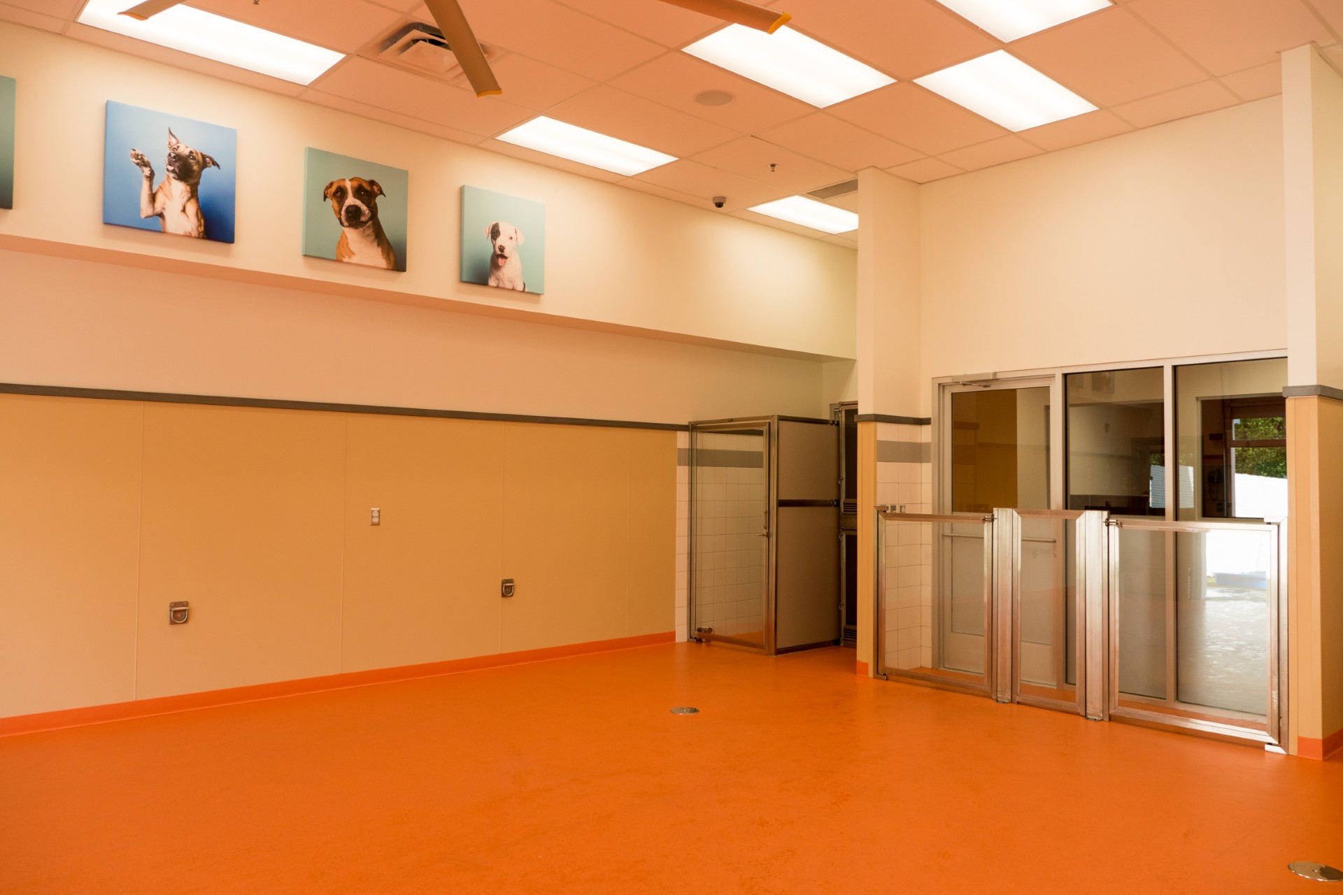 Eastern Animal Hospital Boarding Room